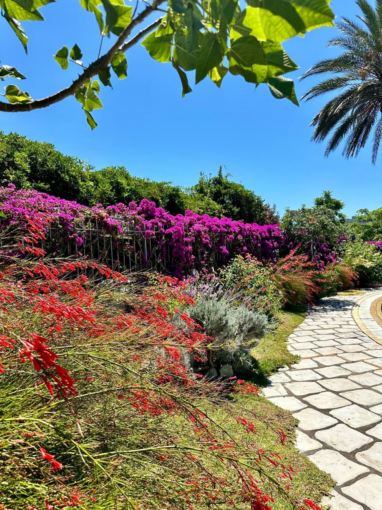 Hotel Boutique Ischia Kültér fotó