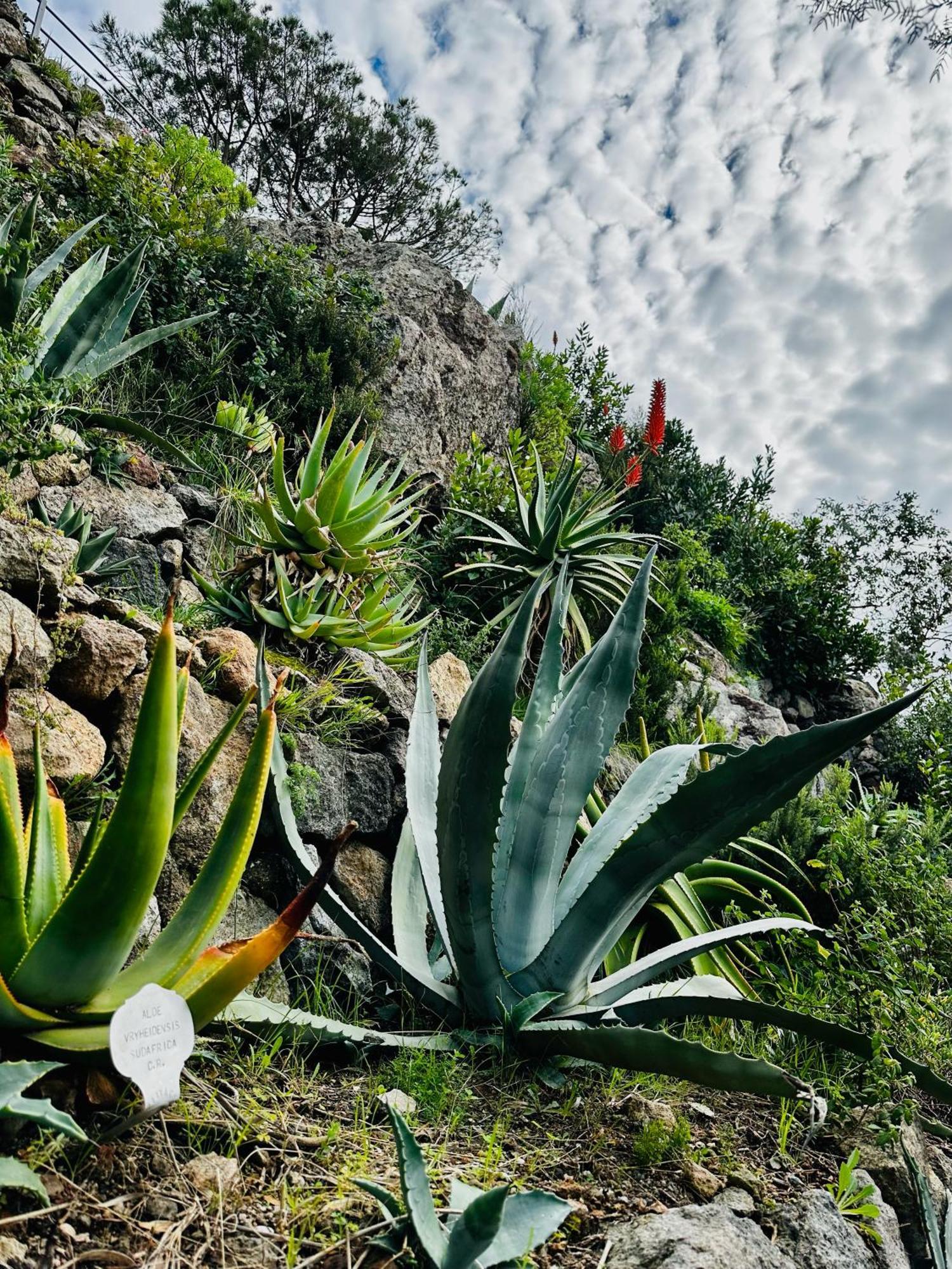 Hotel Boutique Ischia Kültér fotó