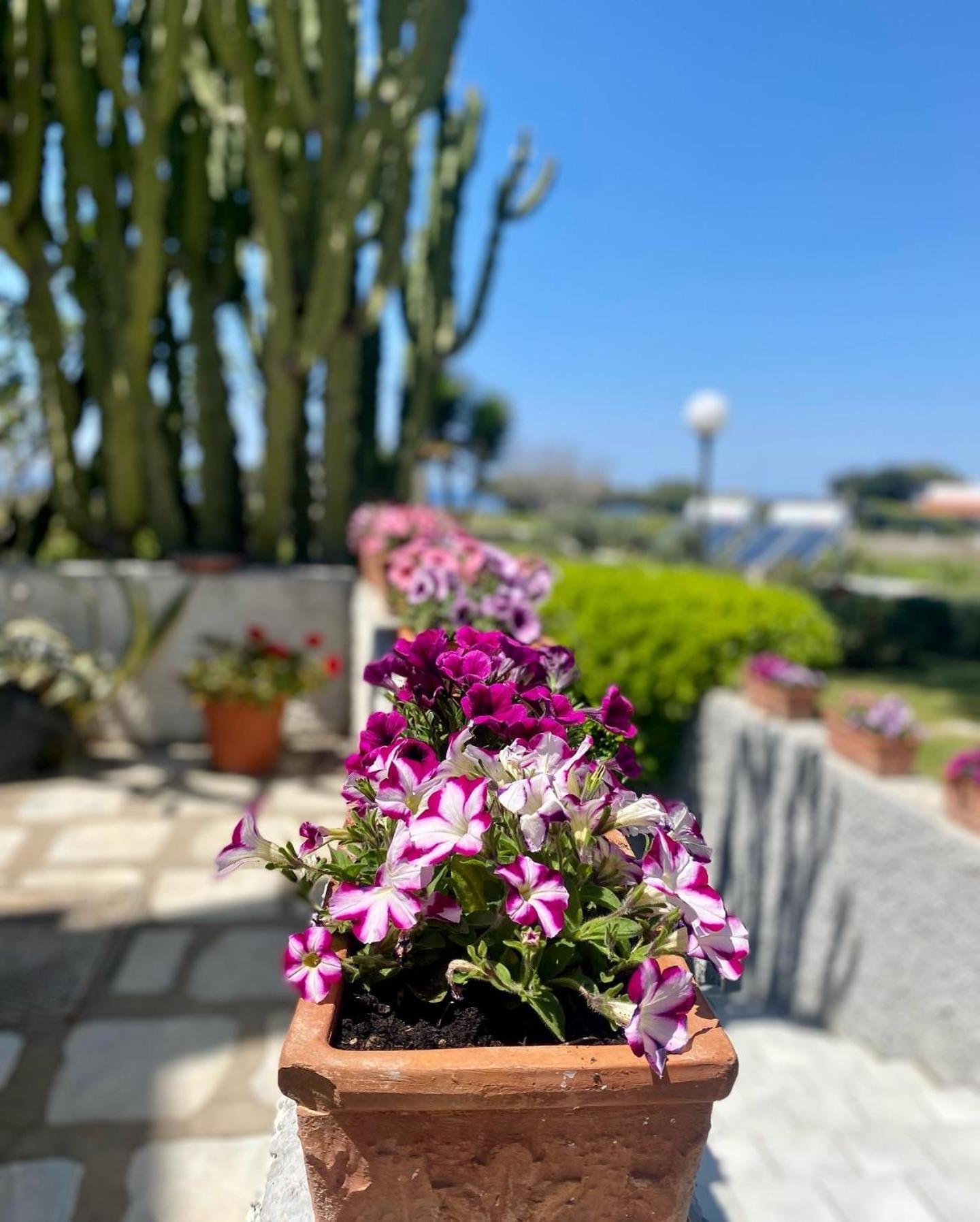 Hotel Boutique Ischia Kültér fotó